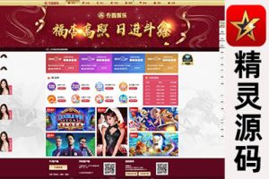 杏鑫修复完毕的VUE二次开发美化完整源码，双面盘支持NG接口对接