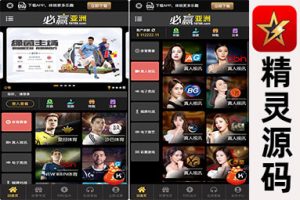 最新必赢亚洲BOB系统程序模板源代码及对应的网api接口